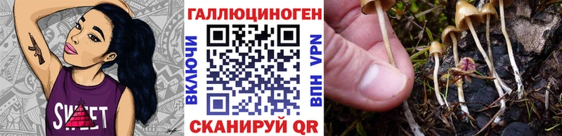 Псилоцибиновые грибы Psilocybine cubensis наркота Великие Луки